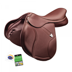SILLA ING.SALTO BATES ELEVATION+