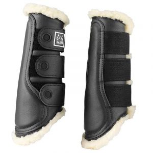 PROTECTORES TRASEROS TATTINI