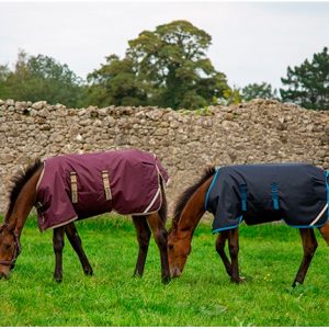 MANTA AMIGO FOAL POTRILLO EXTERIOR MEDIUM (200g)