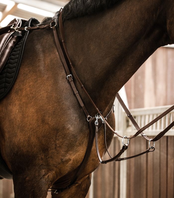 Pechopetral Waldhausen X-Line Professional - Imagen 2