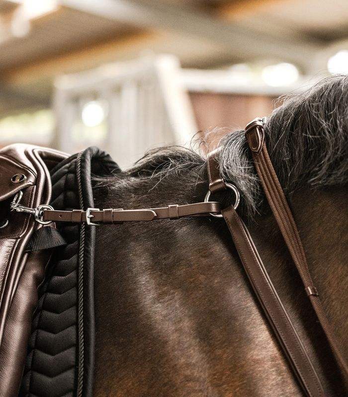 Pechopetral Waldhausen X-Line Professional - Imagen 4