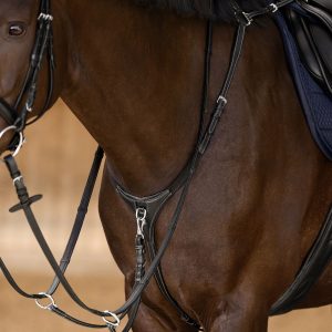 Pechopetral Waldhausen X-Line Work